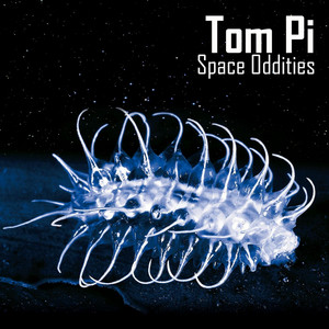 Download Lagu Tompi - Translucent Moth Caterpillar MP3 Download Lagu Tompi - Translucent Moth Caterpillar MP3