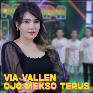 Download Lagu Via Vallen - Ojo Mekso Terus MP3 Download Lagu Via Vallen - Ojo Mekso Terus MP3