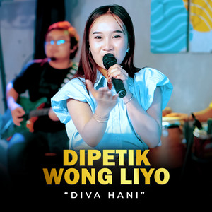 Download Lagu Diva Hani - Dipetik Wong Liyo MP3