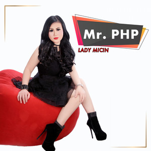 Download Lagu Lady Micin - Mr. PHP MP3 Download Lagu Lady Micin - Mr. PHP MP3