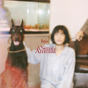 Download Lagu Inis - Animal MP3