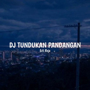 Download Lagu Erli Reja, Raffa Affar - DJ Tundukan Pandangan - Remix MP3