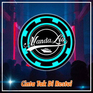 Download Lagu Nanda Lia - Cinta Tak Di Restui MP3