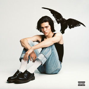 Download Lagu Conan Gray - Comfort Crowd MP3