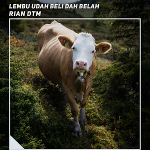 Download Lagu Rian DTM - Lembu Udah Beli Dah Belah MP3