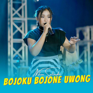 Download Lagu NIKEN SALINDRI - Bojoku Bojone Uwong MP3 Download Lagu NIKEN SALINDRI - Bojoku Bojone Uwong MP3