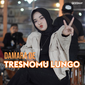 Download Lagu Damara De - Tresnomu Lungo MP3