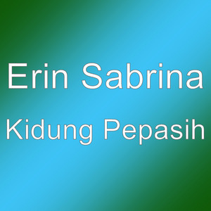 Download Lagu Erin Sabrina - Kidung Pepasih MP3
