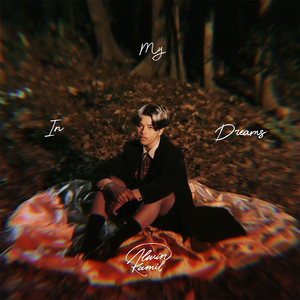 Download Lagu Alwin Kamil - In My Dreams MP3 Download Lagu Alwin Kamil - In My Dreams MP3