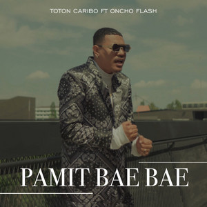 Download Lagu Toton Caribo, Onco Flash - Pamit Bae Bae MP3 Download Lagu Toton Caribo, Onco Flash - Pamit Bae Bae MP3