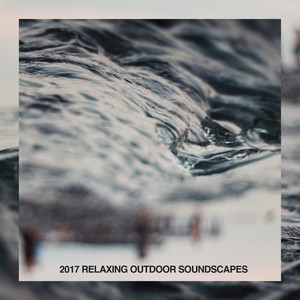 Download Lagu Nature Recordings - Birds by the Stream MP3 Download Lagu Nature Recordings - Birds by the Stream MP3