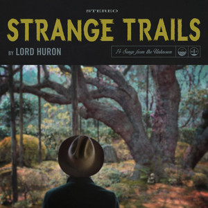 Download Lagu Lord Huron - The Night We Met MP3