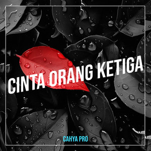 Download Lagu Cahya Pro - Cinta Orang Ketiga MP3 Download Lagu Cahya Pro - Cinta Orang Ketiga MP3
