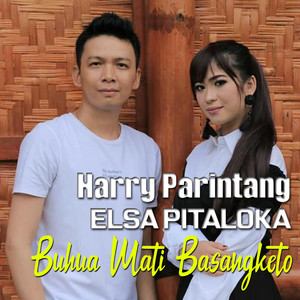 Download Lagu Harry Parintang, Elsa Pitaloka - Buhua Mati Basangketo MP3 Download Lagu Harry Parintang, Elsa Pitaloka - Buhua Mati Basangketo MP3