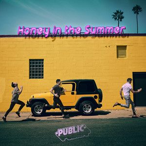 Download Lagu PUBLIC - Honey In The Summer MP3