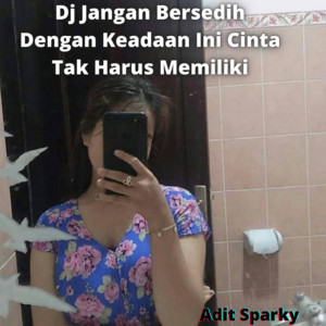Download Lagu Adit Sparky - Dj Jangan Bersedih Dengan Keadaan Ini Cinta Tak Harus Memiliki MP3