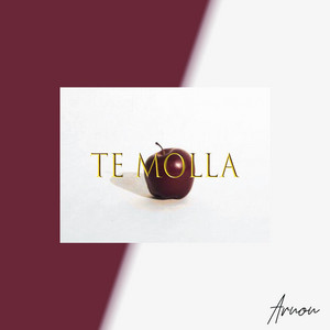 Download Lagu Arnon, Killua - Te Molla MP3