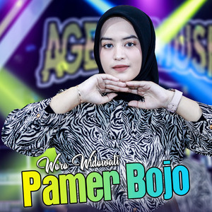 Download Lagu Woro Widowati, Ageng Music - Pamer Bojo MP3 Download Lagu Woro Widowati, Ageng Music - Pamer Bojo MP3