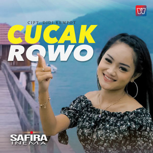 Download Lagu Safira Inema - Cucak Rowo MP3 Download Lagu Safira Inema - Cucak Rowo MP3