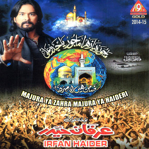 Download Lagu Irfan Haider - Zamin Hain Imam E Raza MP3