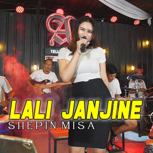 Download Lagu Shepin Misa - lali janjine MP3 Download Lagu Shepin Misa - lali janjine MP3