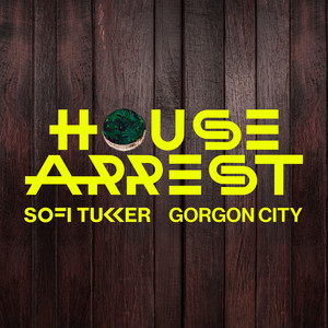 Download Lagu Sofi Tukker, Gorgon City - House Arrest MP3