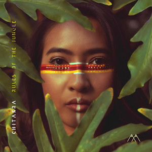Download Lagu Chitarra - Rules of the Jungle MP3 Download Lagu Chitarra - Rules of the Jungle MP3