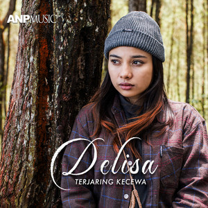 Download Lagu Delisa Herlina - Terjaring Kecewa MP3