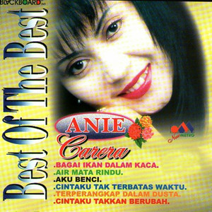 Download Lagu Anie Carera - Ternyata Sama Saja MP3