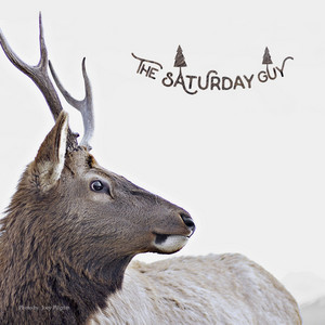 Download Lagu The Saturday Guy - Perfect Sunset MP3 Download Lagu The Saturday Guy - Perfect Sunset MP3
