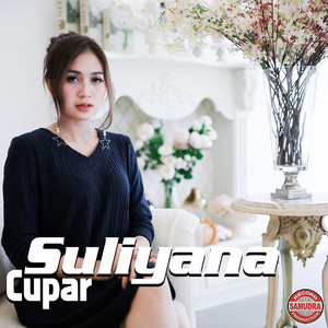 Download Lagu Suliyana - Cupar MP3
