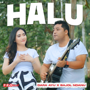 Download Lagu Dara Ayu, Bajol Ndanu - Halu MP3 Download Lagu Dara Ayu, Bajol Ndanu - Halu MP3
