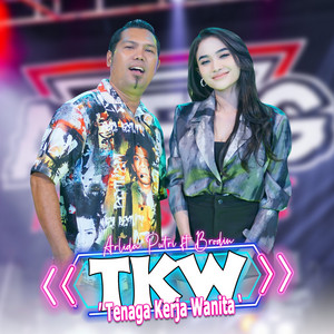 Download Lagu Arlida Putri, Brodin, Ageng Music - Tkw (Tenaga Kerja Wanita) MP3 Download Lagu Arlida Putri, Brodin, Ageng Music - Tkw (Tenaga Kerja Wanita) MP3