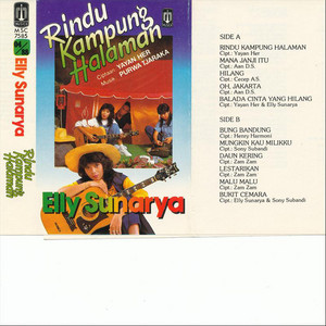 Download Lagu Elly Sunarya - Hilang MP3