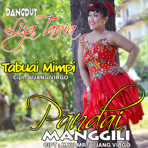 Download Lagu Liza Tania - Manduo Hati MP3