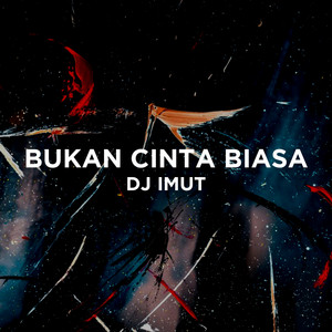 Download Lagu Dj Imut - Bukan Cinta Biasa MP3