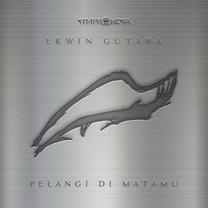 Download Lagu Erwin Gutawa - Pelangi Di Matamu MP3