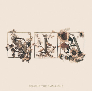 Download Lagu Sia - Breathe Me MP3