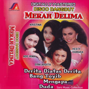 Download Lagu Ade Irma - Sengsara MP3 Download Lagu Ade Irma - Sengsara MP3