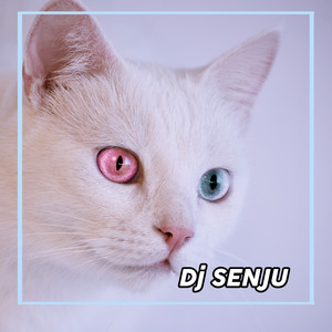 Download Lagu Dj SENJU - Dj THAILAND sugeng dalu MP3 Download Lagu Dj SENJU - Dj THAILAND sugeng dalu MP3
