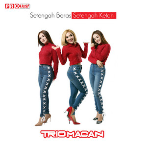 Download Lagu Trio Macan - Setengah Beras Setengah Ketan MP3