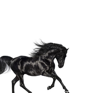 Download Lagu Lil Nas X, Billy Ray Cyrus - Old Town Road (feat. Billy Ray Cyrus) - Remix MP3 Download Lagu Lil Nas X, Billy Ray Cyrus - Old Town Road (feat. Billy Ray Cyrus) - Remix MP3