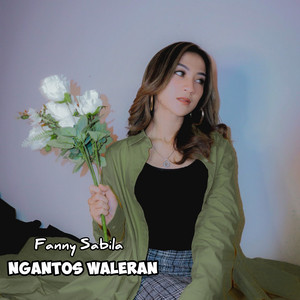 Download Lagu Fanny Sabila - Ngantos Waleran MP3