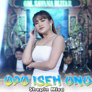 Download Lagu Shepin Misa - Opo Iseh Ono MP3