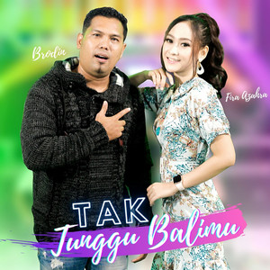 Download Lagu Fira Azahra, Brodin - Tak Tunggu Balimu MP3