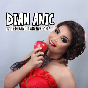 Download Lagu Dian Anic - Digoyang Mantan MP3