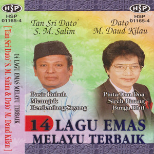 Download Lagu Tan Sri Dato' SM Salim - Pasir Roboh MP3