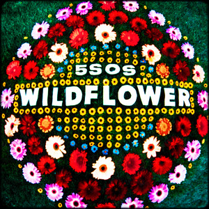 Download Lagu 5 Seconds of Summer - Wildflower MP3 Download Lagu 5 Seconds of Summer - Wildflower MP3