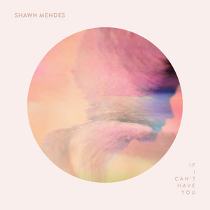 Download Lagu Shawn Mendes - If I Can't Have You MP3 Download Lagu Shawn Mendes - If I Can't Have You MP3