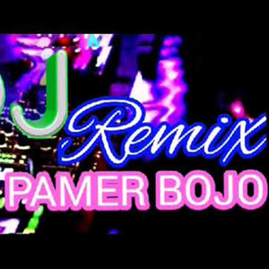 Download Lagu Nofin Asia - Pamer Bojo Remix MP3